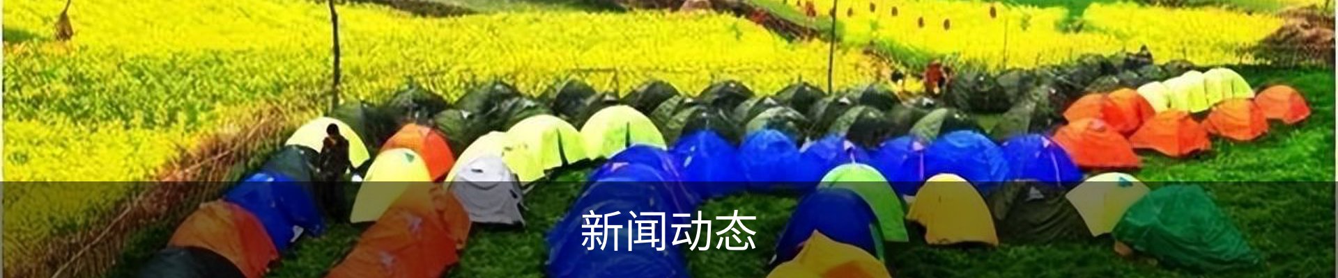 新闻动态